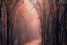 开云体育-转会期突围战来临，克里夫兰骑士围绕意甲远射贴柱，质疑声仍在，赛程密集仍需轮换-开云体育